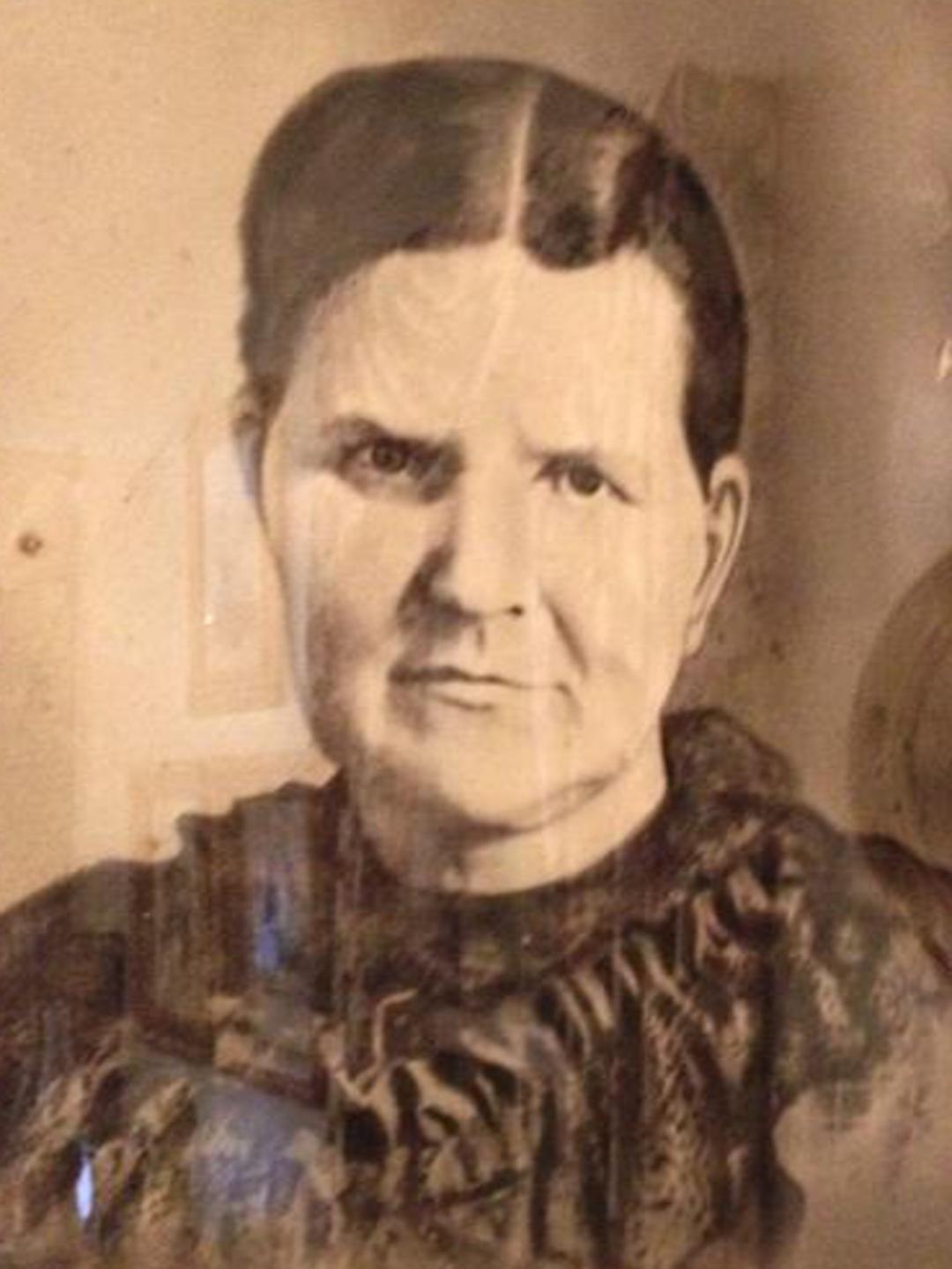Nancy Cynthia Allred (1840 - 1901) Profile